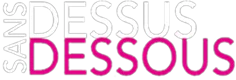 Sans Dessus Dessous Sex Shop Epinal Logo